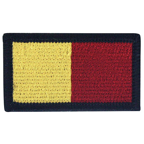 Tactical Recognition Flash, 1st Battalion Royal Anglian's...